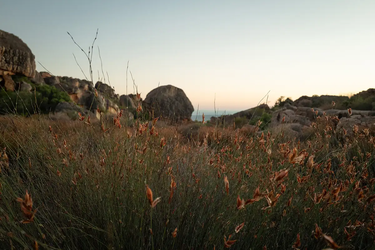 AFRO | App For Rocklands